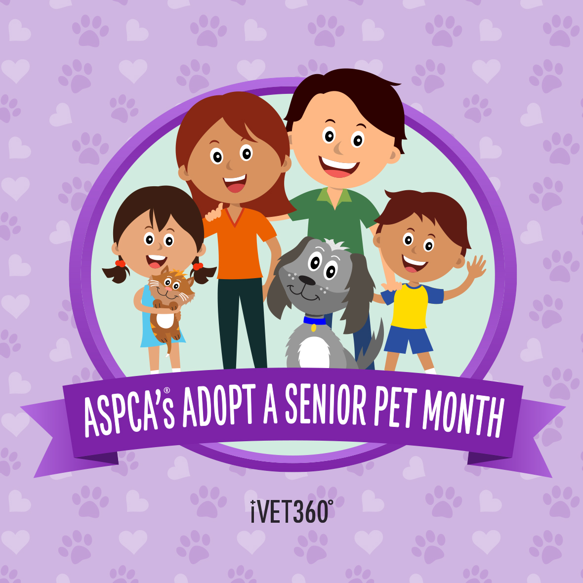 ASPCA’s Adopt a Senior Pet Month