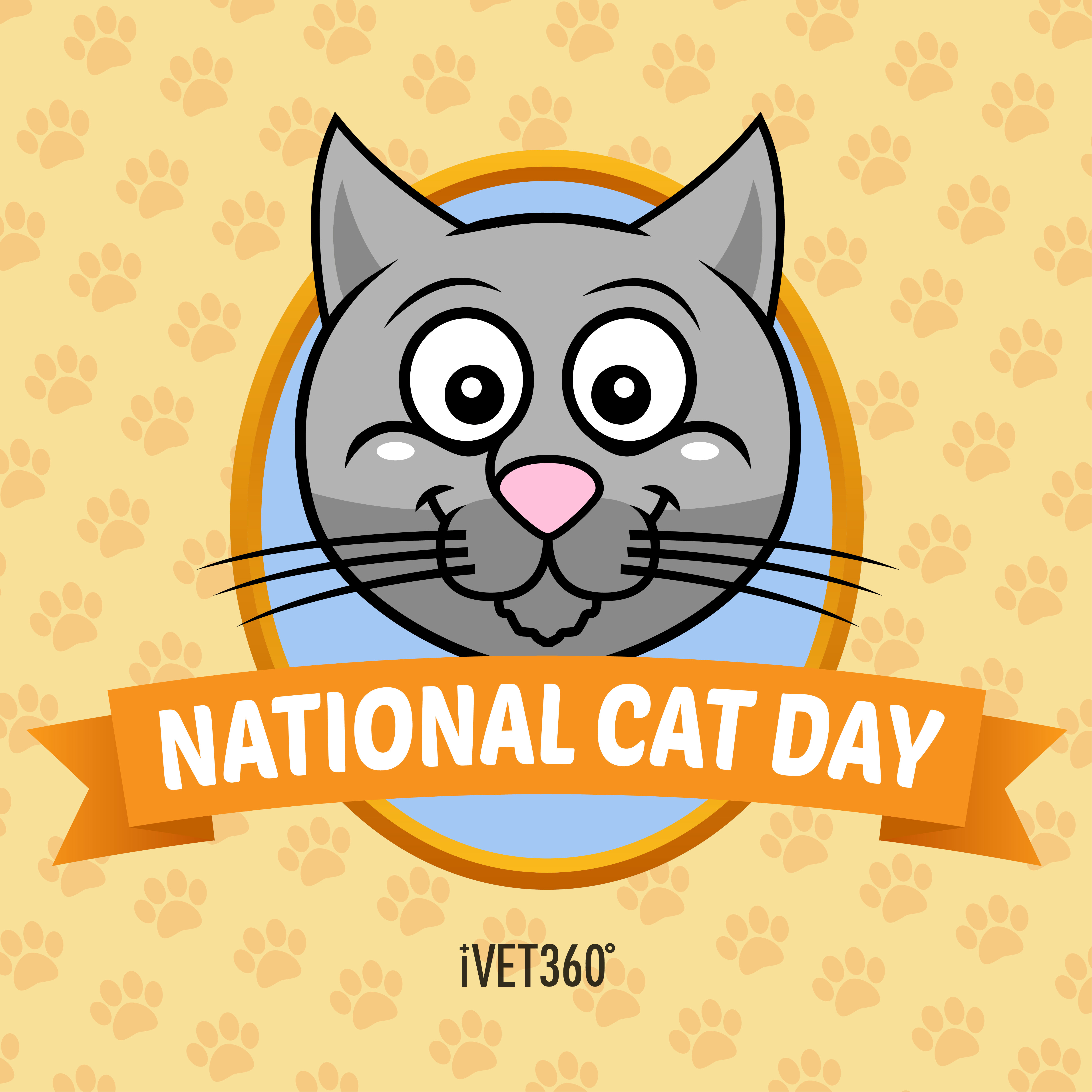 National Cat Day (October 29)