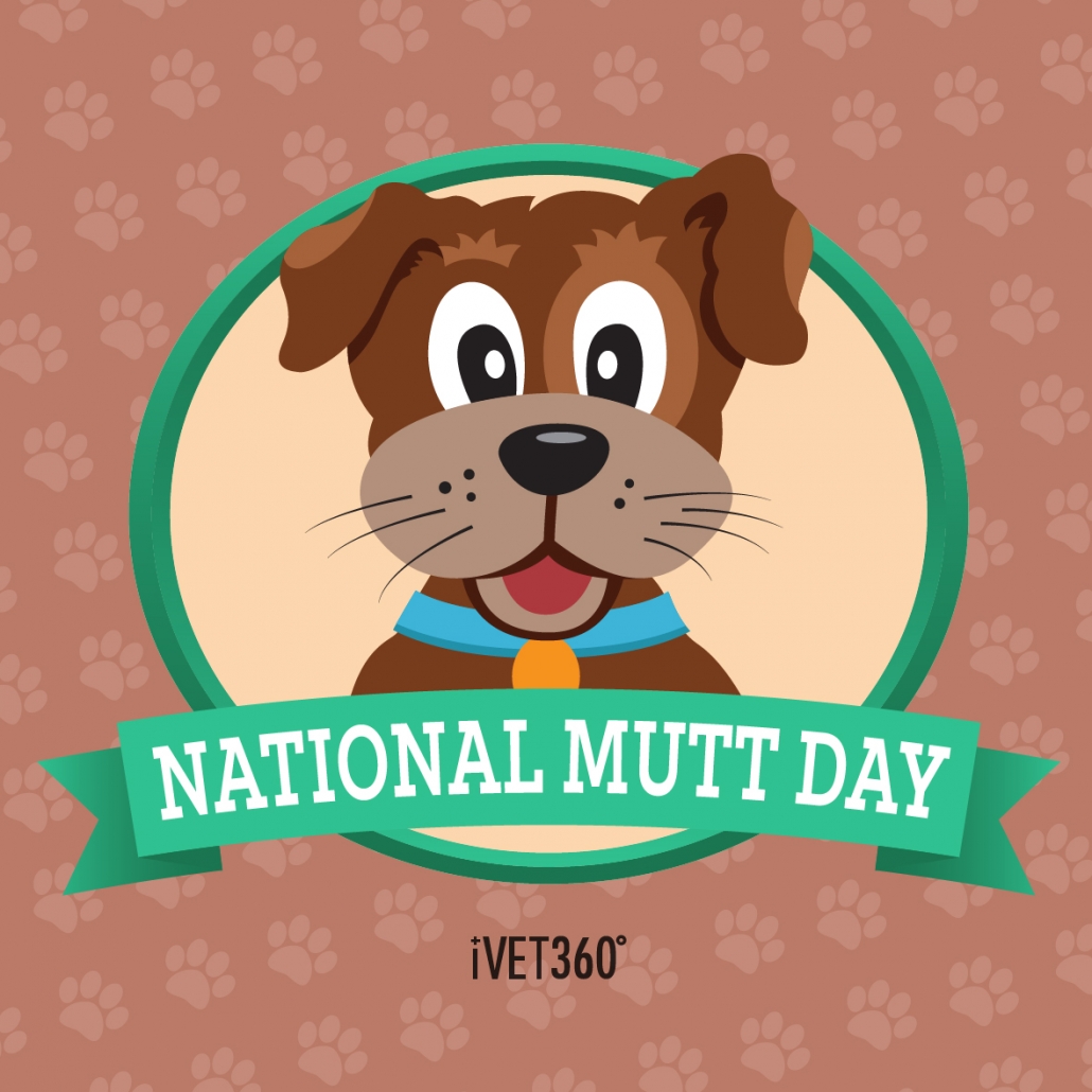 National Mutt Day (July 31) iVET360 Content Library