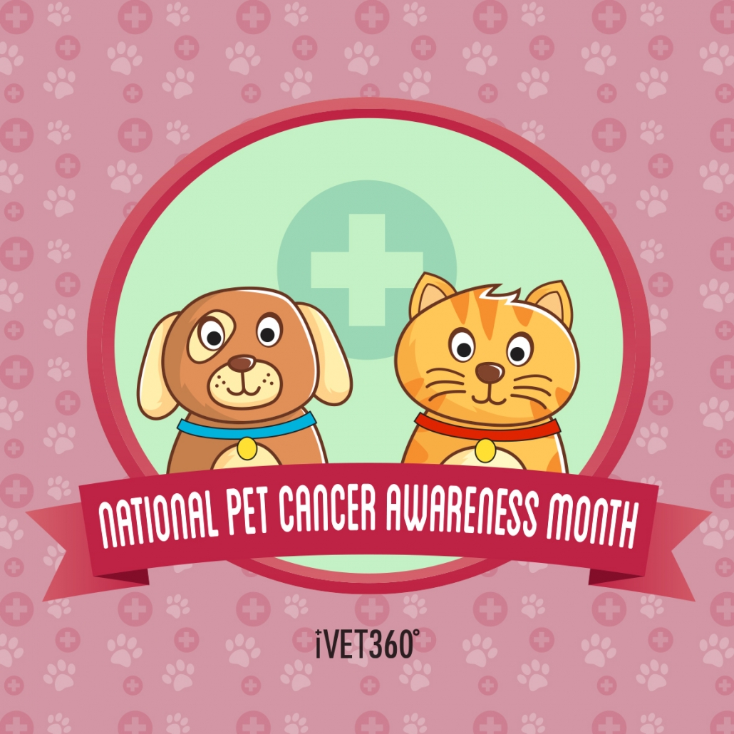 National Pet Cancer Awareness Month iVET360 Content Library