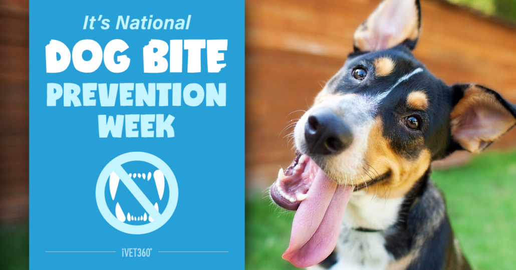 National Dog Bite Prevention Week® iVET360 Content Library