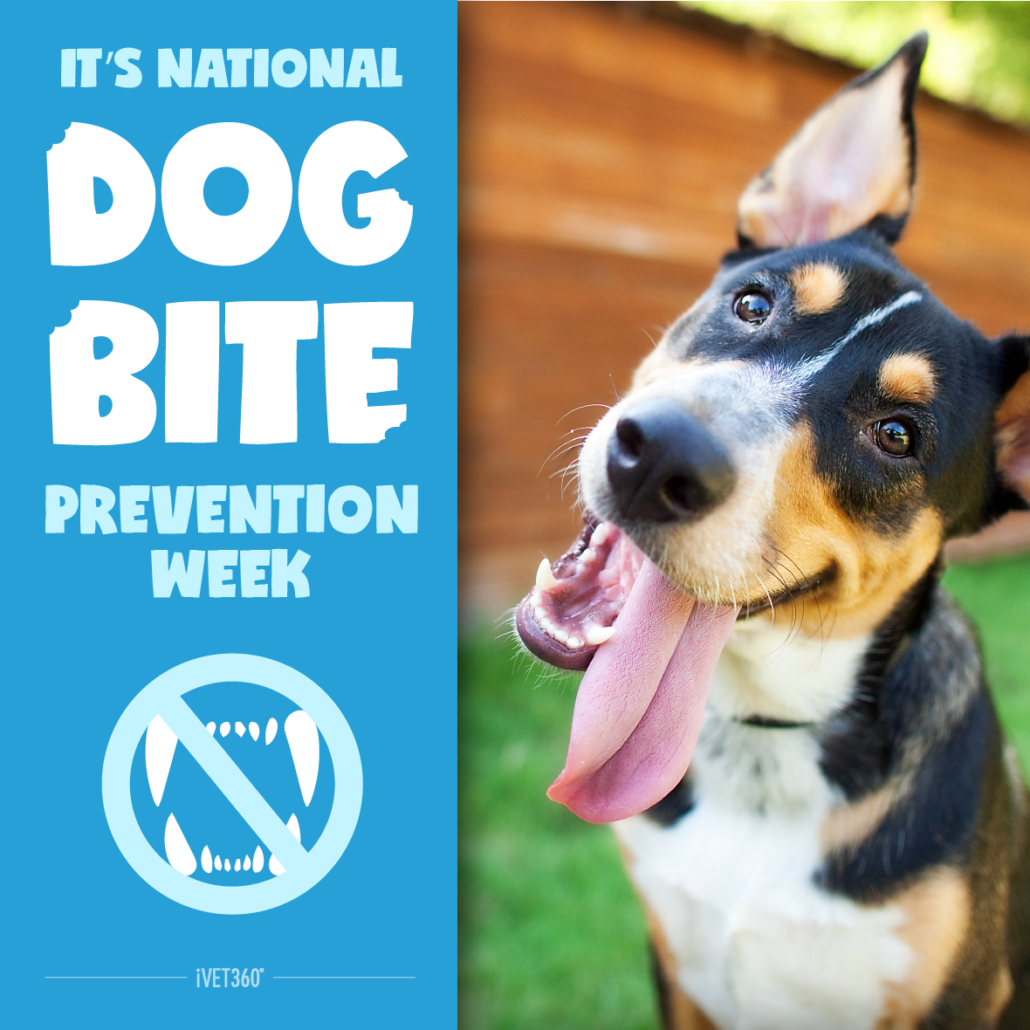 National Dog Bite Prevention Week® iVET360 Social Calendar