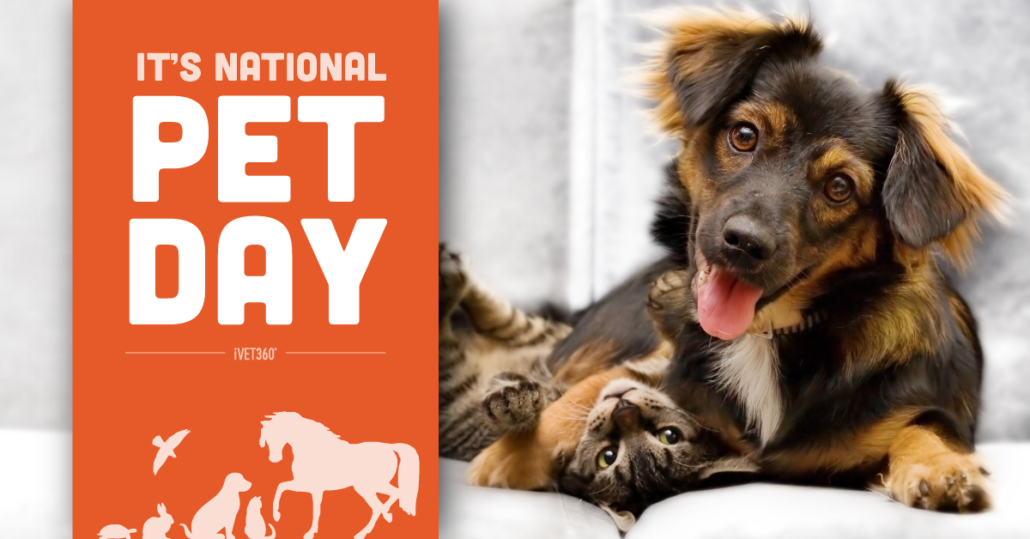 National Pet Day (April 11) iVET360 Social Calendar