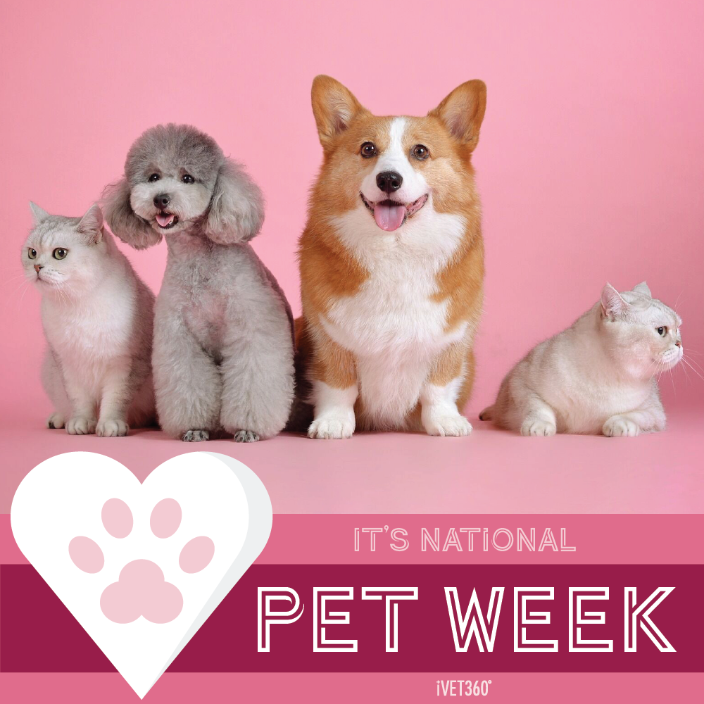 National Pet Week® (May 28, 2021) iVET360 Social Calendar