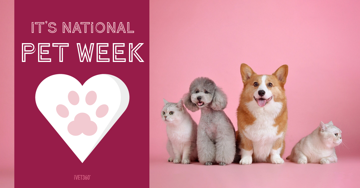 When Is National Pet Week 2024 Babbie Nalani