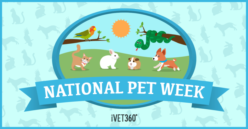 National Pet Week® (May 17, 2022) iVET360 Content Library