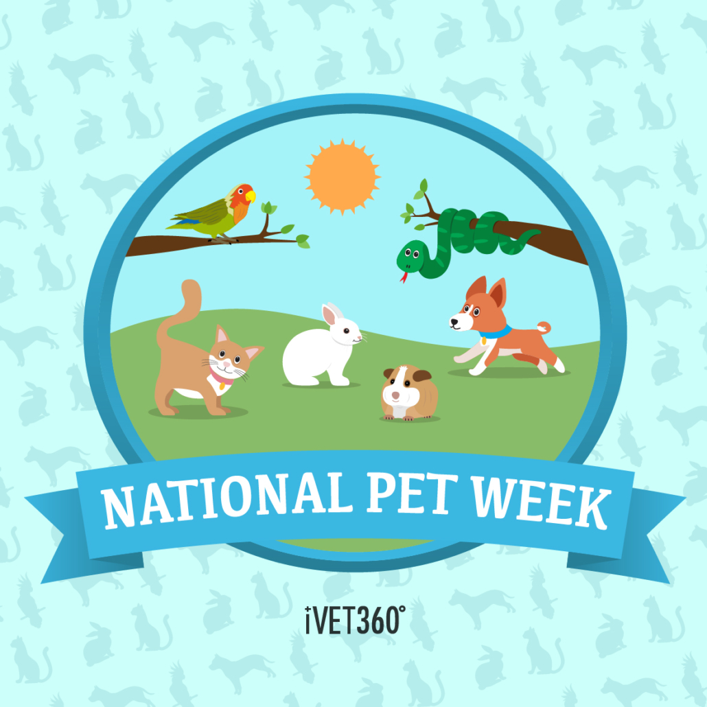 National Pet Week® (May 2-8, 2021) – iVET360 Social Calendar