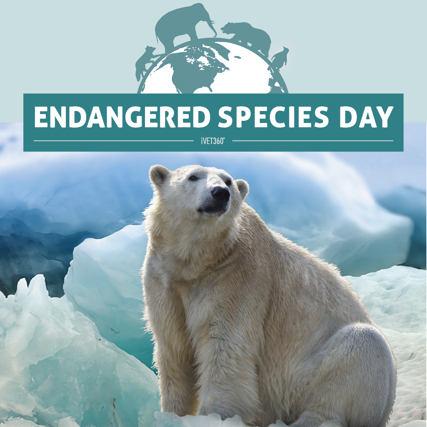 Endangered Species Day (May 21) iVET360 Social Calendar