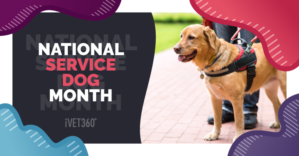 National Service Dog Month iVET360 Content Library