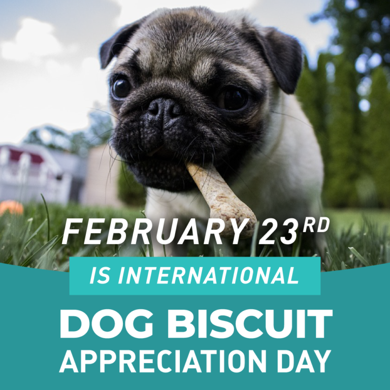 International Dog Biscuit Appreciation Day February 23rd iVET360