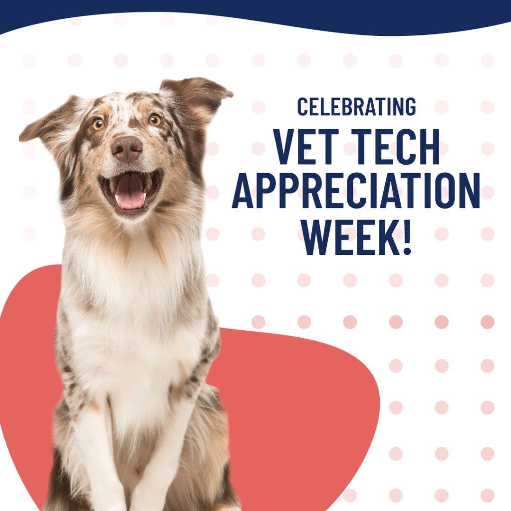 Vet Tech Appreciation Week iVET360 Content Library