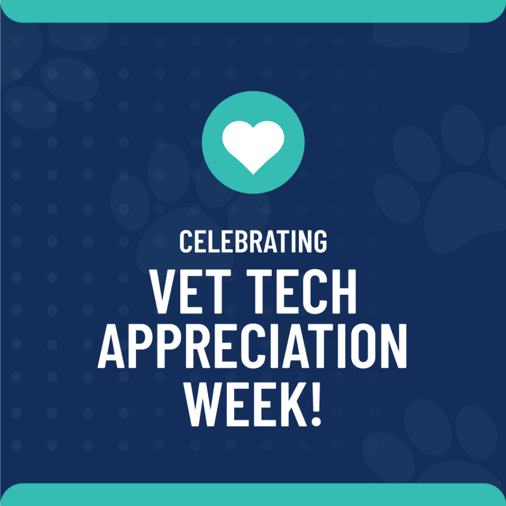 Vet Tech Appreciation Week iVET360 Content Library